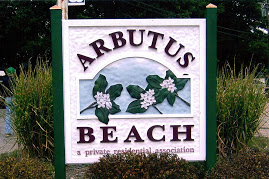 Image result for arbutus beach, michigan
